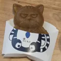 member face