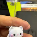 member face