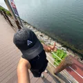 member face