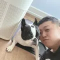 member face