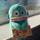 member face