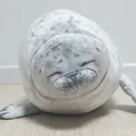 member face