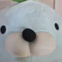 member face