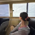 member face
