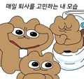 member face
