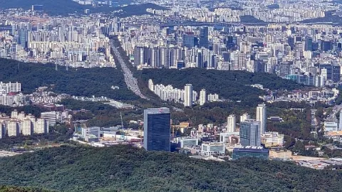 정모 대표 이미지