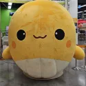 member face