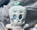 member face
