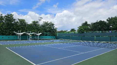 정모 대표 이미지