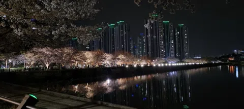 모임 대표 이미지