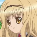 member face