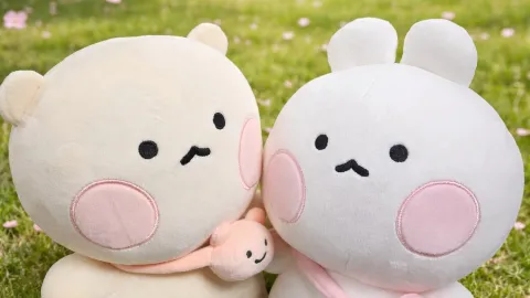 정모 대표 이미지