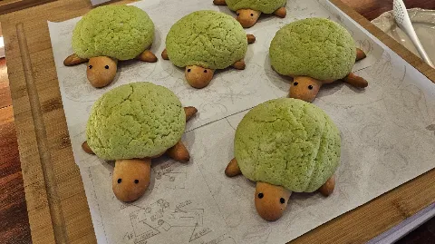 정모 대표 이미지