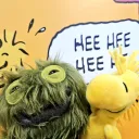 member face