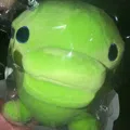 member face