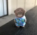 member face