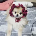 member face