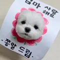 member face