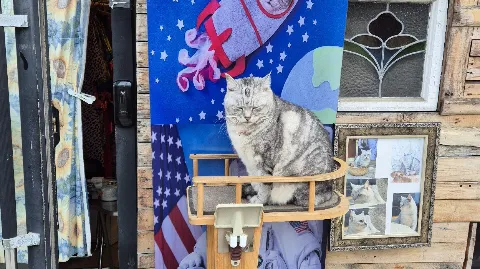 정모 대표 이미지