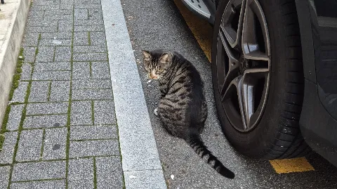 정모 대표 이미지