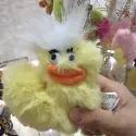 member face