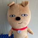 member face