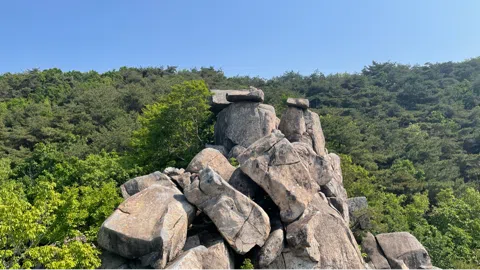 정모 대표 이미지