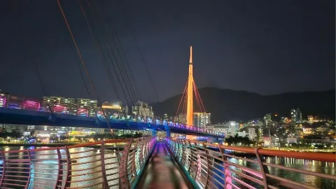 정모 대표 이미지