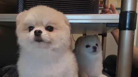 정모 대표 이미지