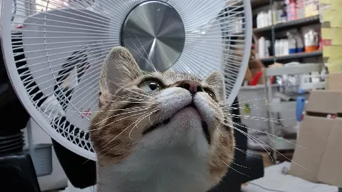 정모 대표 이미지