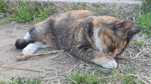 정모 대표 이미지