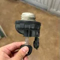 member face