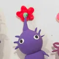 member face