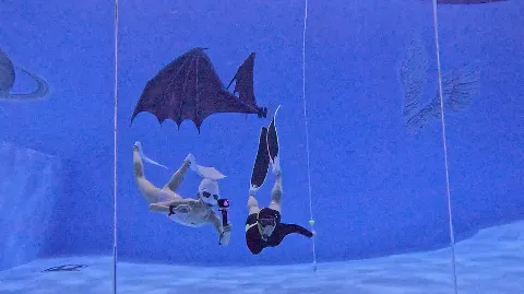 정모 대표 이미지