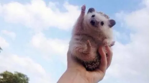 정모 대표 이미지