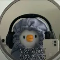 member face