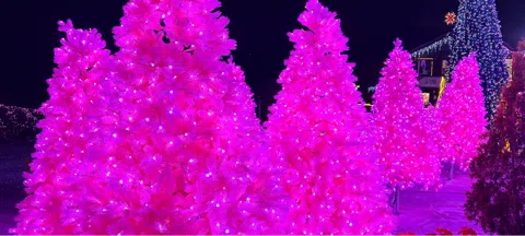 모임 대표 이미지