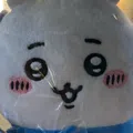 member face