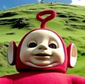 member face