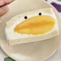 member face