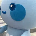 member face