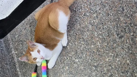정모 대표 이미지