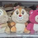 member face