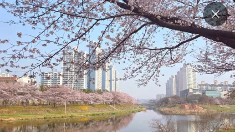 정모 대표 이미지