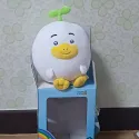 member face