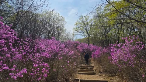 정모 대표 이미지