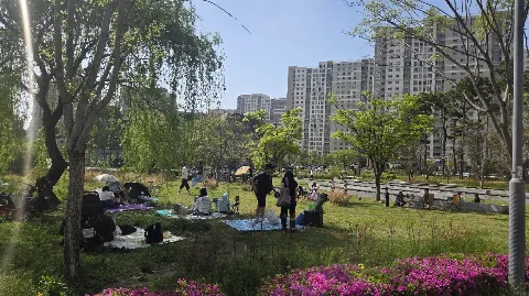 정모 대표 이미지