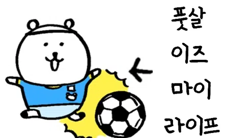 정모 대표 이미지