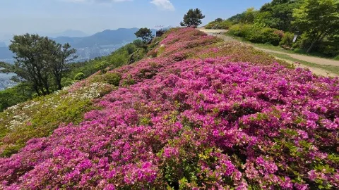 정모 대표 이미지