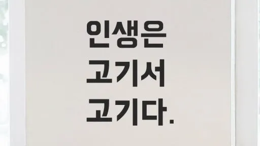 정모 대표 이미지